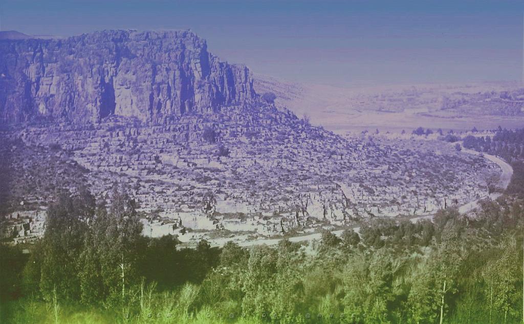 Saida 523- Vieux Saida.jpg